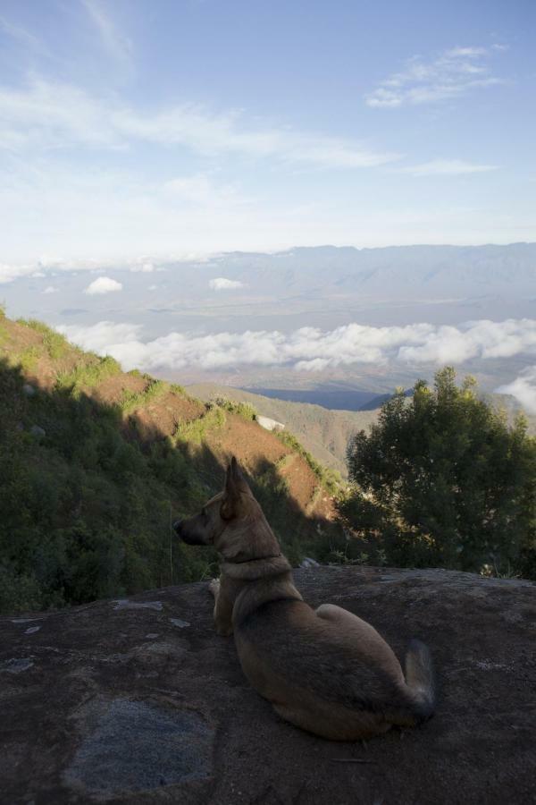 Vila Mambo View Point Ndungu Exteriér fotografie